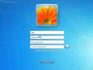 reset windows password
