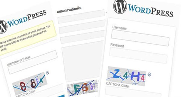 best wordpress plugin for donations