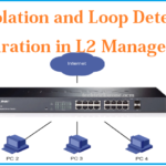 Port isolation and loop detection configuration