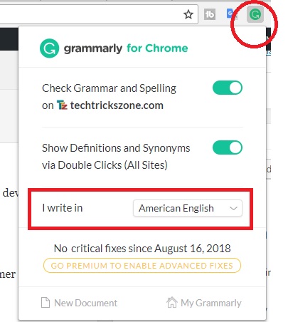 ginger grammar checker online