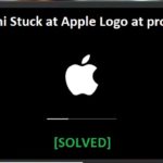 Mac mini stuck on apple logo at progress bar